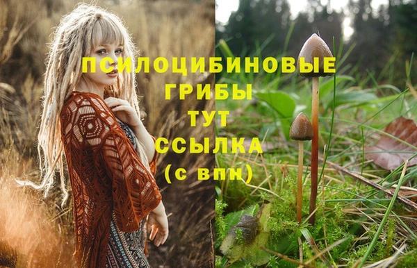 скорость Армянск