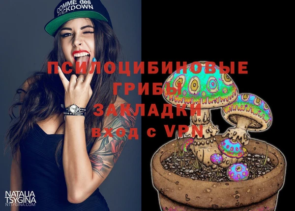 прущий лед Аркадак