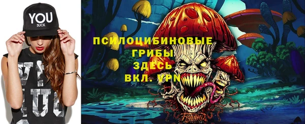 прущий лед Аркадак