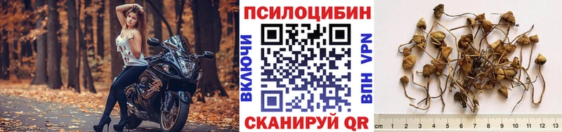 Псилоцибиновые грибы прущие грибы  Николаевск 